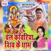 Chal Kanwariya Shiv Ke Dhaam